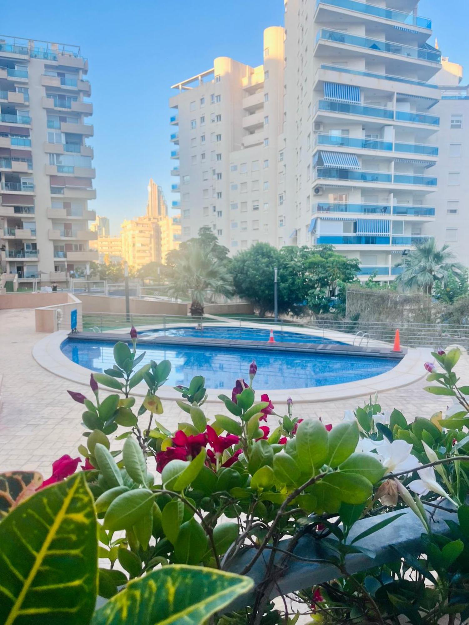 קאלה דה פינסטראט Alcotan 2 Modern Apartment With Sea View & Big Sunny Terrace מראה חיצוני תמונה