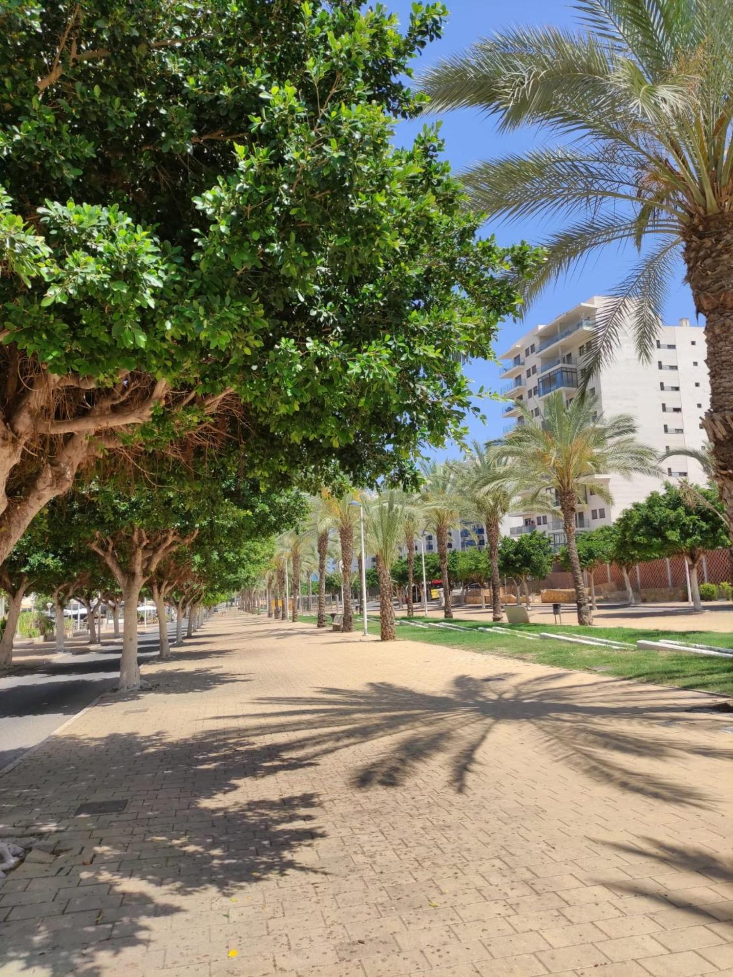 קאלה דה פינסטראט Alcotan 2 Modern Apartment With Sea View & Big Sunny Terrace מראה חיצוני תמונה